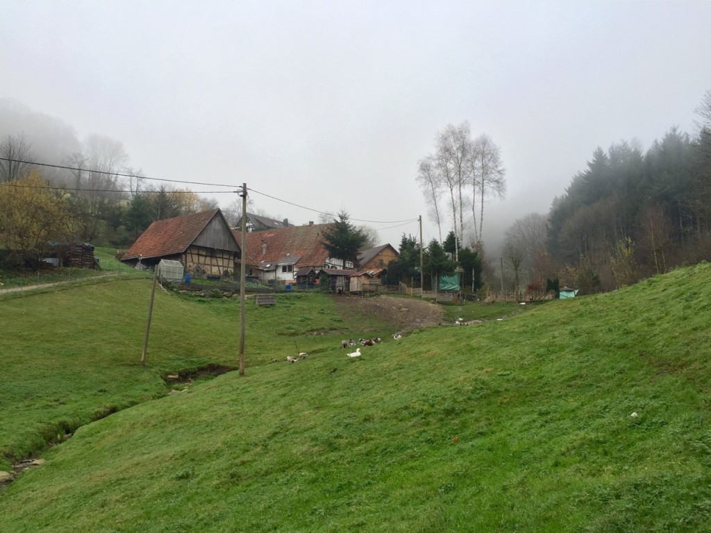 Mühlenweg in Ottenhöfen, Schwarzwald